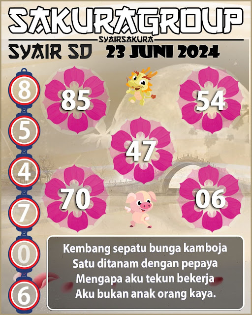 SYAIR SDY VIP